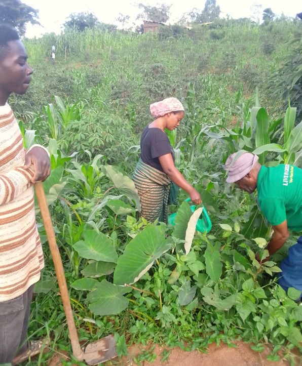 “My favorite parts of the course were web development and digital marketing,” Ramazani shares. “Creating websites and learning how to market products online opened up new opportunities for me.”